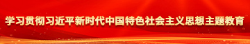 美女被大吊中出学习贯彻习近平新时代中国特色社会主义思想主题教育